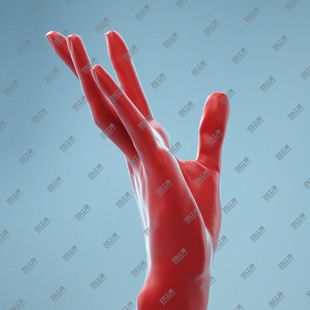 images/goods_img/202105072/13 Female Hands Collection 3D model/5.jpg